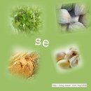 셀레늄스파 이미지