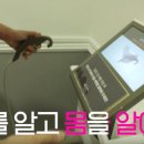 다나디톡스