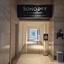 땡스독 | 소노펫 이벤트 1등 후기🎉 (우리와 선물세트, 허레이, 킹스패드, 소노펫 가방)