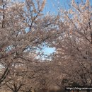 구로-고척-구로-871 이미지