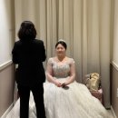 11260-2-37-17 | W 23. 신도림 라마다호텔 웨딩 세인트 그레이스홀 토요일 17시 30분 시간별 상세한 본식후기_ver 2.