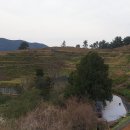 진성(경남)