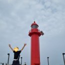 제주의 제주마 | 제주도 휴가 &amp; 골프 2022(2박3일)