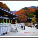 용바위산장가든 이미지