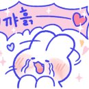 하루필름보정동카페 이미지