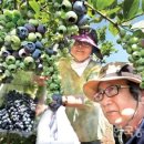 홍가네농장 이미지