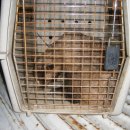 포천대신동물병원 이미지