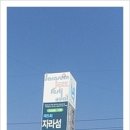 자라섬 중도 이미지