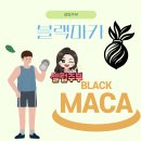 마카 트레이닝 이미지