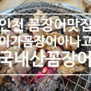 이가꼼장어아나고