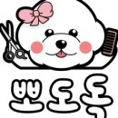 뽀도독 네이버블로그