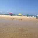 말리오션스파 이미지