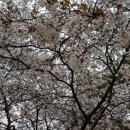 중앙공원 1지구 화장실 이미지