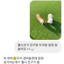 코지독하우스 네이버블로그