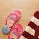 스테이 단밤 이미지