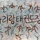 성인 태권도장 티스토리