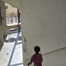 무이숲 Daum카페