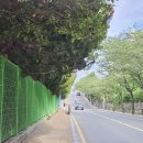 남파랑길 1코스 부산구간 * 오륙도해맞이공원~부산역* (26.06.06) 남파랑길 첫날 이미지