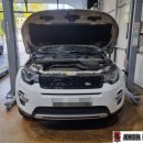 아모르모터스 이미지