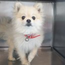 오거리공영주차장 이미지