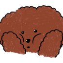 덕배쌀롱