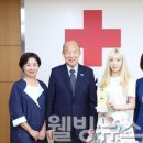 김태연의웰빙