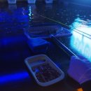 다낚아 낚시터 이미지