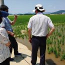 구미시농업기술센터 이미지