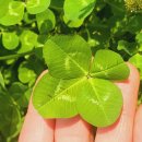 사립공공 연암 이미지