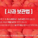 거창-고제-10 이미지