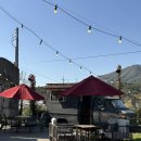 식물원 강아지 | 천안애견동반카페 식물원 같은 분위기에 반한 에이게이트 후기