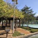 영문중학교 이미지