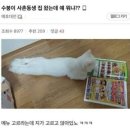 오저 이미지