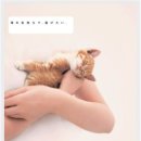 이쁜멍멍이 이미지