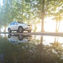 안개로가로수 이미지