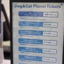 (주)신화이엔엘주유소 | 서귀포액티비티 <제주댕냥별> 아이들과 함께 하는 실내 관광지 추천