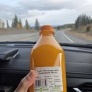 골든호프 | [캐나다] 밴쿠버-밴프 렌터카로 이동하기 (호프-켈로나 1박-레벨스토크-밴프)