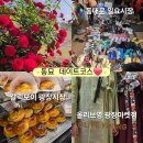 청계2길 | 동대문 일요시장 천원무덤, 광장시장 갈릭보이, 올영양행 올리브영 광장마켓점 한복체험, 동묘데이트 코스