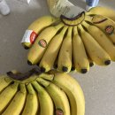 해솔김밥 | 2025년 8~10월 결산