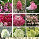 목하
