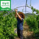 구로-구로-구로-1576 이미지