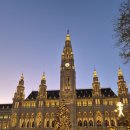 성서라지에터 | 11.27 ~ 11.29 빈 Wien 야간열차 조식, 벨베데레 상궁, 시내한바퀴, 오르간연주 듣기, 라트하우스광장...