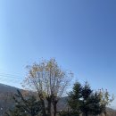 정근봉콩나물국밥 이미지