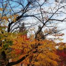 모동초등학교 이미지