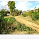 블루버드펜션 이미지