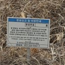 탁지부측량 소삼각점 | [송현공원] 산책