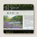 원당천 | 무주 SNS 서포터즈가 전하는 무진장 여행｜구천동 일사대 편