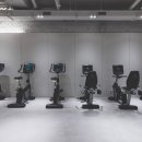 바디메이트 짐 이미지