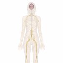 동행의원 이미지