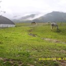 녹색목장 이미지